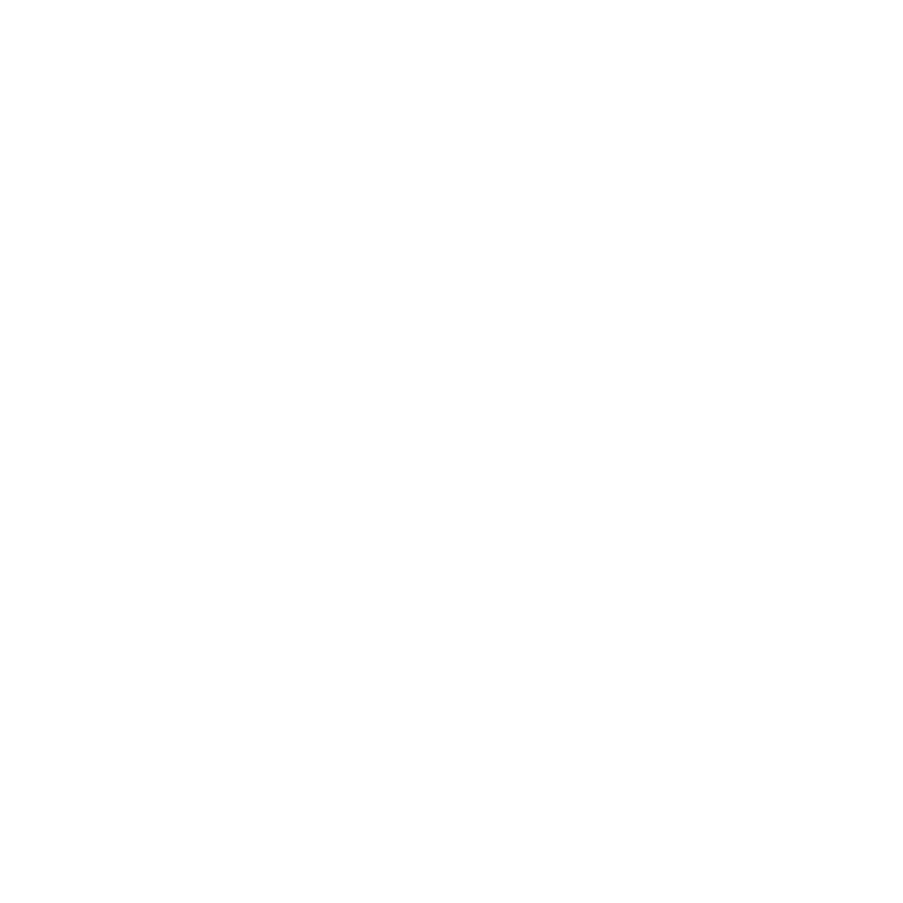 Sol Touch Logo White